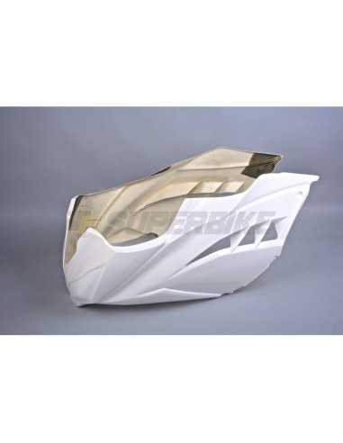 TF SUPERBIKE FRONTAL FIBRA DE VIDRIO KAWASAKI NINJA 300 ’13-17 REF 06/03/13/02