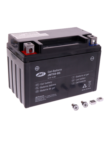 copy of SKYRICH HJTX9-FP (LTX9-BS) LITHIUM-AKKU