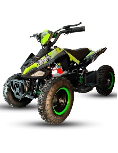 MINIQUAD ELECTRICO 1000W IMR WR8