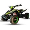 MINIQUAD ELECTRICO 1000W IMR WR8