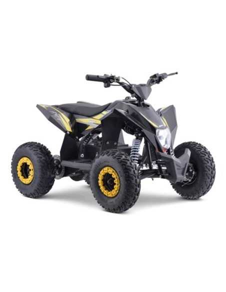 MINIQUAD ELECTRICO IMR WR1000