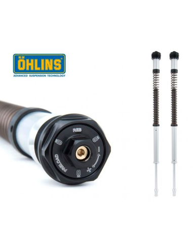 copy of Kartusche Gabel OHLINS NIX30 BMW