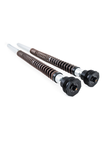 CARTUCHO HORQUILLA OHLINS NIX20 HONDA AFRICA TWIN CRF 1100 L / ADV 2020-2023