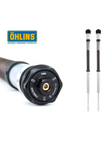 CARTUCHO HORQUILLA OHLINS NIX20 HONDA AFRICA TWIN CRF 1100 L / ADV 2020-2023 REF FKA 110