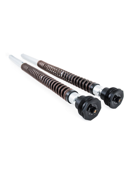 copy of CARTUCHO HORQUILLA OHLINS NIX20 HONDA AFRICA TWIN CRF 1100 L / ADV 2020-2023