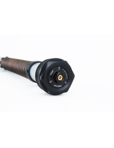 copy of KIT CARTUCHOS HORQUILLA OHLINS NIX22 KAWASAKI NINJA 400 2018