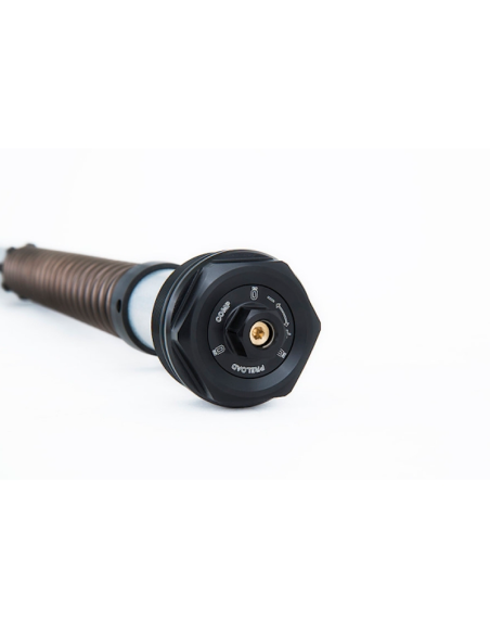 KIT CARTUCHOS HORQUILLA OHLINS NIX22 YAMAHA R25 / R3 2019-2020 REF 21944-01