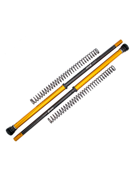copy of KIT DE CARTUCHO DE HORQUILLA ANDREANI EVOLUTION APRILIA RS 660 2020