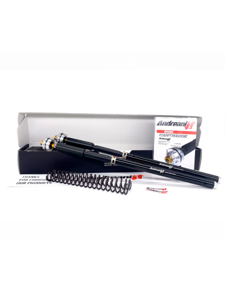 KIT CARTUCHO DE HORQUILLA ANDREANI EVOLUTION KAWASAKI ZX-10 R 2004-2005 REF 105/K31E