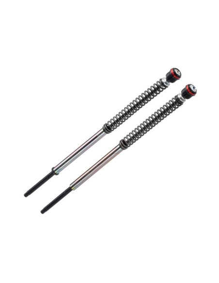 copy of KIT DE CARTUCHO DE HORQUILLA ANDREANI EVOLUTION APRILIA RS 660 2020