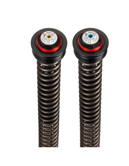 CARTUCHOS DE HORQUILLA BITUBO SUZUKI GSX-R 600 2011-2017 REF S0092JBH01V1WO