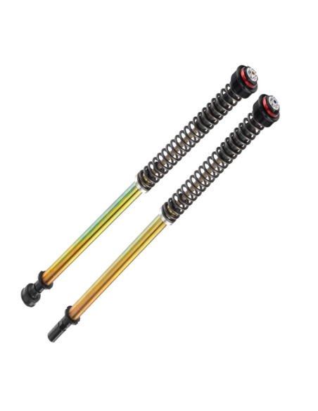 copy of KIT DE CARTUCHO DE HORQUILLA ANDREANI EVOLUTION APRILIA RS 660 2020