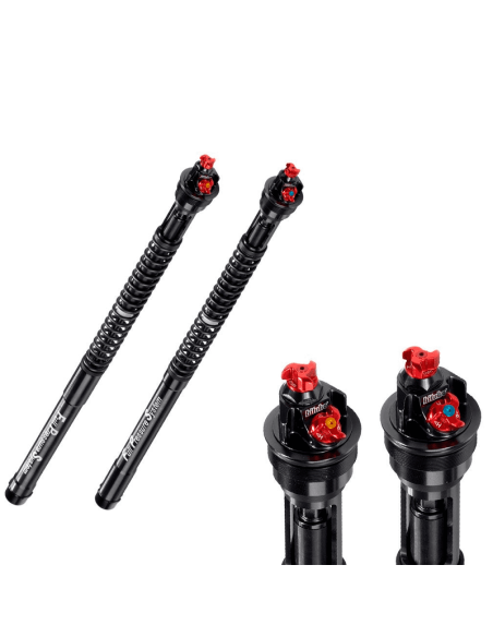 CARTUCHOS DE HORQUILLA BITUBO HONDA CBR 1000 RR-R 2020-2022 REF H0155ECHA9