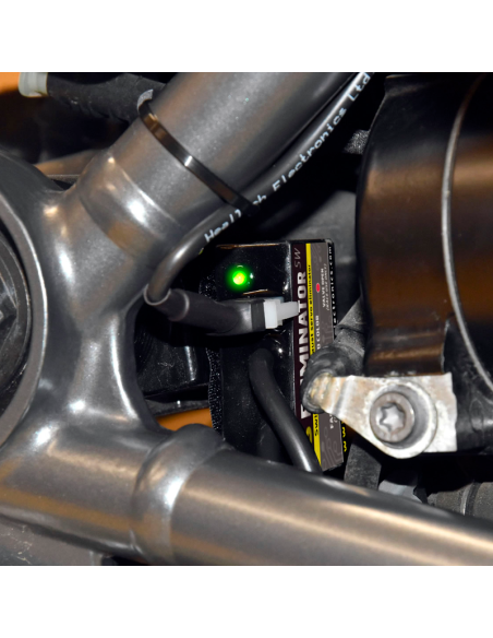 Healtech ESE-SW-BM1 Abgasservomotor-Controller + ESE-BM1 Emulator für BMW