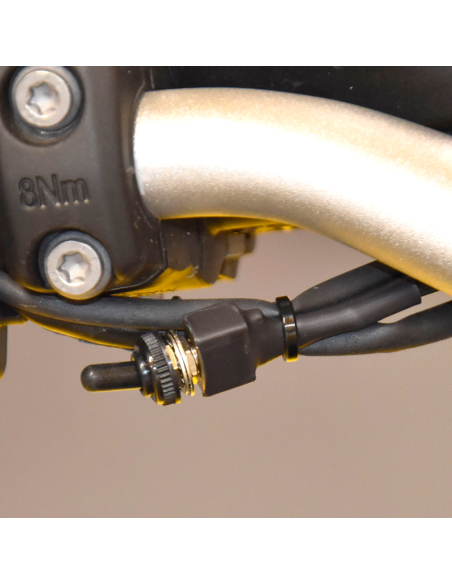 Healtech Controlador de Servomotor del Escape ESE-SW-BM1 para BMW