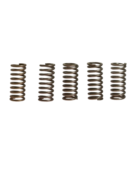Muelles de embrague reforzados EBC 5 piezas HONDA REF CSK033