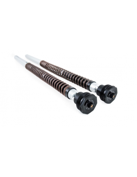 copy of Kit Patronen OHLINS TTX 25MM YAMAHA YZF R1 M 2020
