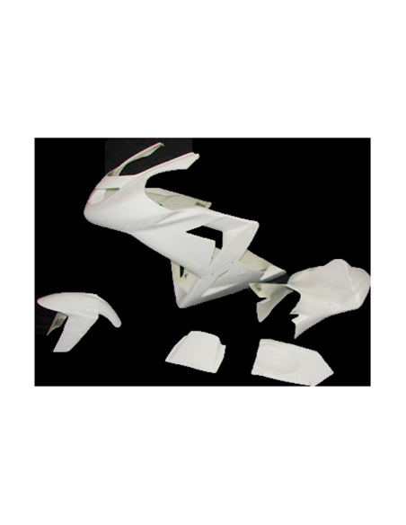 Carenado completo KAWASAKI ZX-10R 2004-2005