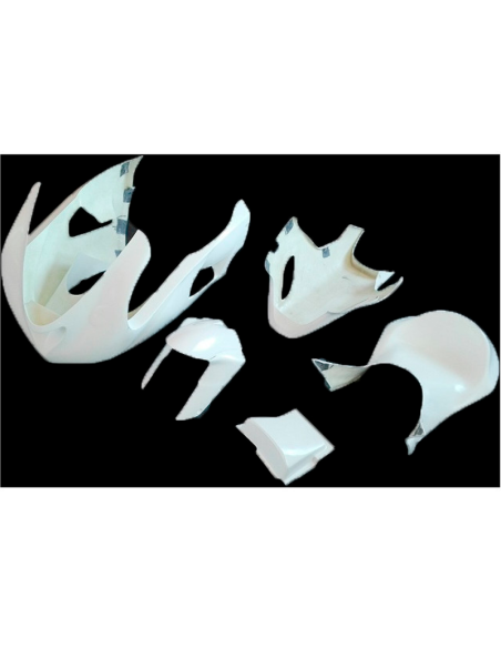 Carenado completo KAWASAKI ZX-6R 2005-2006