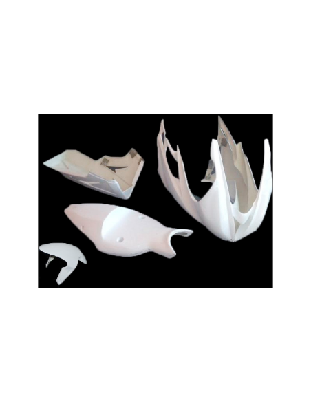 Komplette Verkleidung TRIUMPH DAYTONA 675 2013-2015
