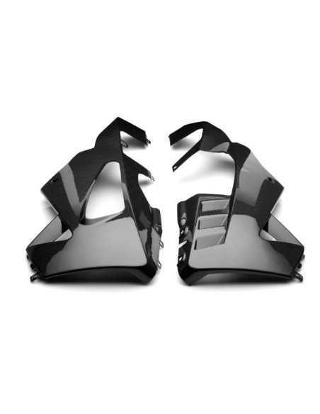 Kohlefaserverkleidung CARBON 2 RACE APRILIA RSV4 2015-2020