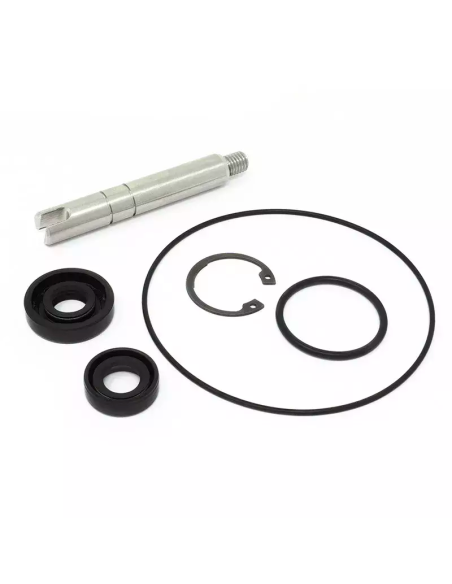 JETPRIMEJP KIT RPA 005 Übergroßer Wasserpumpen-Reparatursatz für MV Agusta (RPA 005)