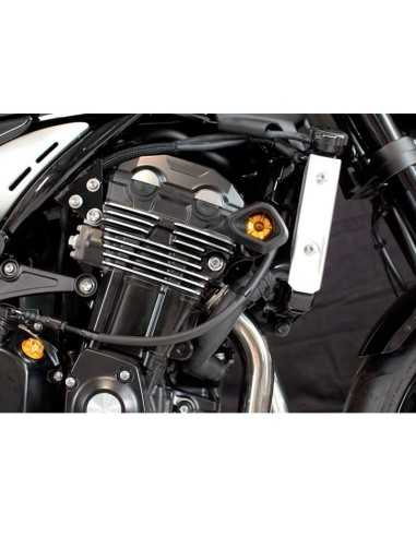Protectores anti caída anti shock EVOTECH para Kawasaki Z900RS