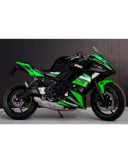 Protectores anti caída anti shock EVOTECH para Kawasaki Ninja 650