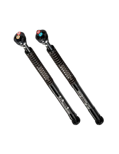 copy of KIT DE CARTUCHO DE HORQUILLA ANDREANI EVOLUTION APRILIA RS 660 2020