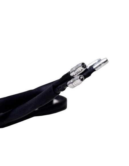 Intermitentes led modelo F-01
