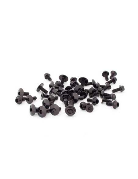 Kit tornillo rapido con anillo M6x12mm grapa de clip