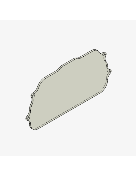 Recambio metraquilato protector BONAMICI RACING para Aprilia RS 660 - Tuono 660 2020 - 2024