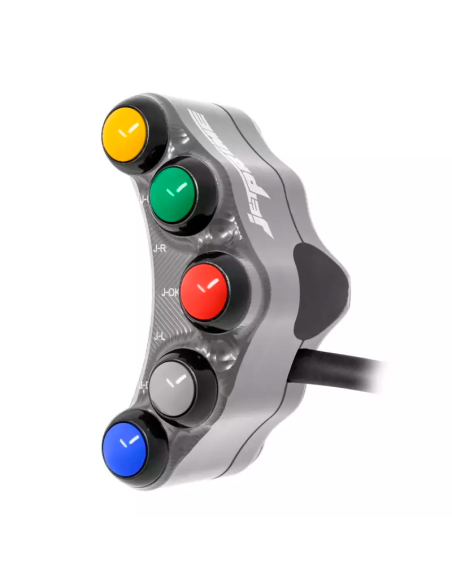 Links Racing Pina Aprilia RSV4 RF RR 2017-2020 TITAN