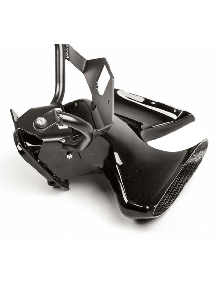 Rennspinne DUCATI PANIGALE 1299 15-18