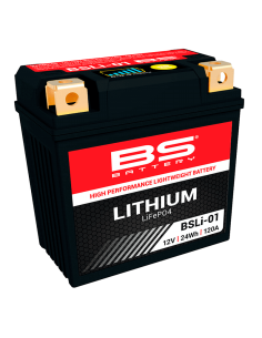 Lithium- BS BATTERY -Batterie BSLI-01 LFP01