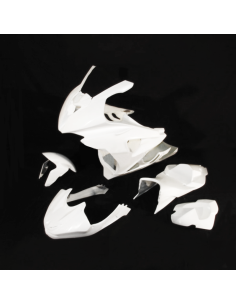 Carenado de Circuito BMW S1000 RR 09 - 11