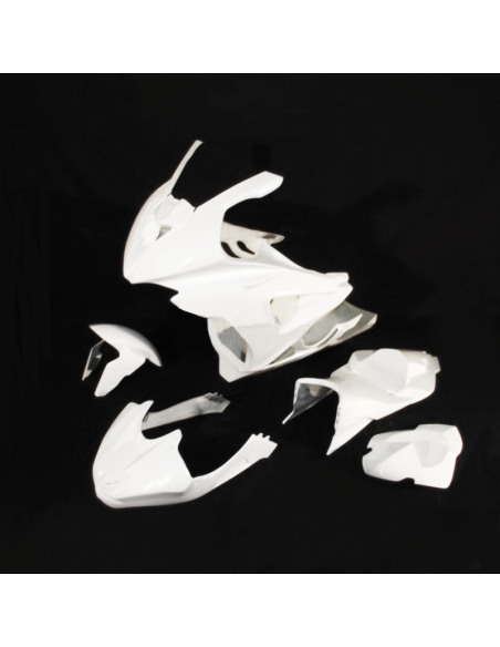 Carenado de Circuito BMW S1000 RR 09 - 11