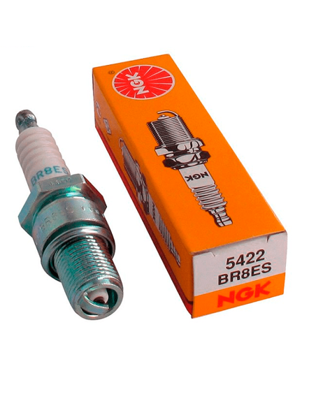 Bujia NGK BR8ES