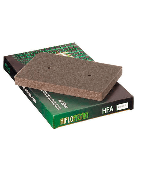 Luftfilter HIFLOFILTRO HFA2505