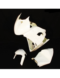 Carenado de Circuito Kawasaki ZX6R 09-12