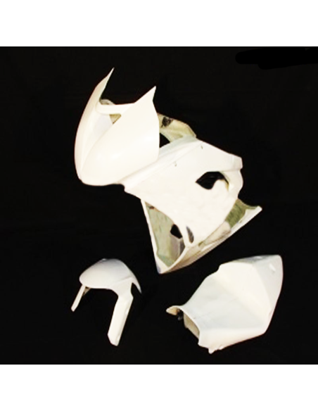 Carenado de Circuito Kawasaki ZX6R 09-12