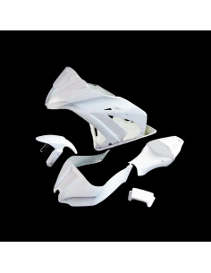 Carenado de circuito Kawasaki ZX10 2011-2015 2