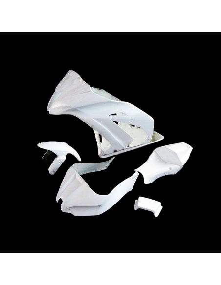 Verkleidung der Kawasaki-Rennstrecke ZX10 2011-2015
