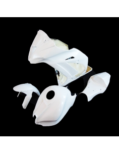 Carenado de circuito Kawasaki ZX10 2011-2015