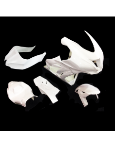Carenado de Circuito Kawasaki ZX10 2016-2019