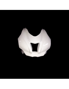 Carenado de Circuito Kawasaki ZX10 2016-2019 2