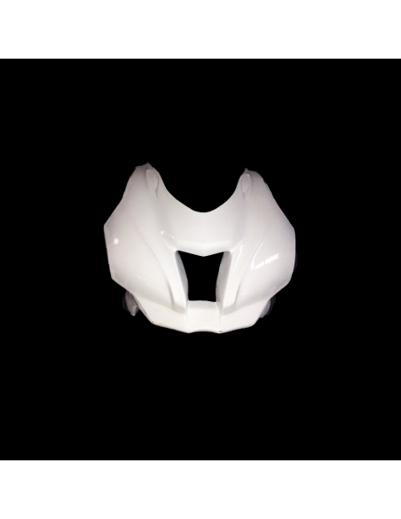 Carenado de Circuito Kawasaki ZX10 2016-2019