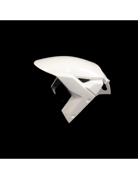 Carenado de Circuito Kawasaki ZX10 2016-2019