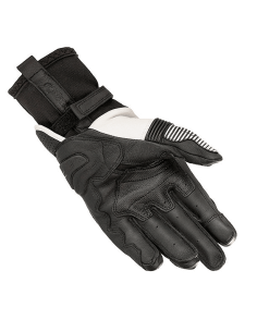 GUANTES ALPINESTARS GP X V2 NEGRO / BLANCO 2