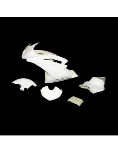 Carenado de Circuito Yamaha YZF R6R 06-07